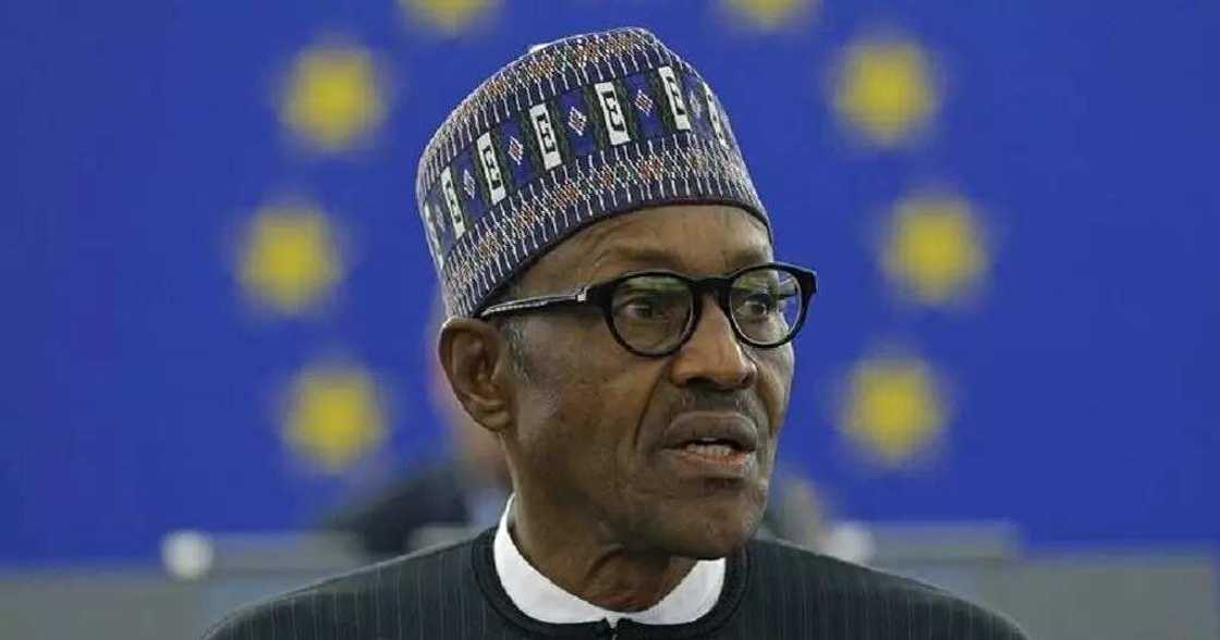 Dino Melaye's certificate controversy raises posers on President Buhari's WAEC claims Dino Melaye's certificate controversy raises posers on President Buhari's WAEC claims