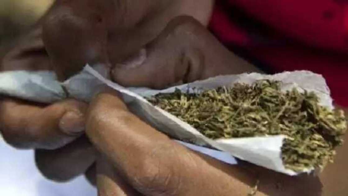 ‘Yan shaye-shaye sun kashe Dan Sanda ‘Yan shaye-shaye sun kashe Dan Sanda