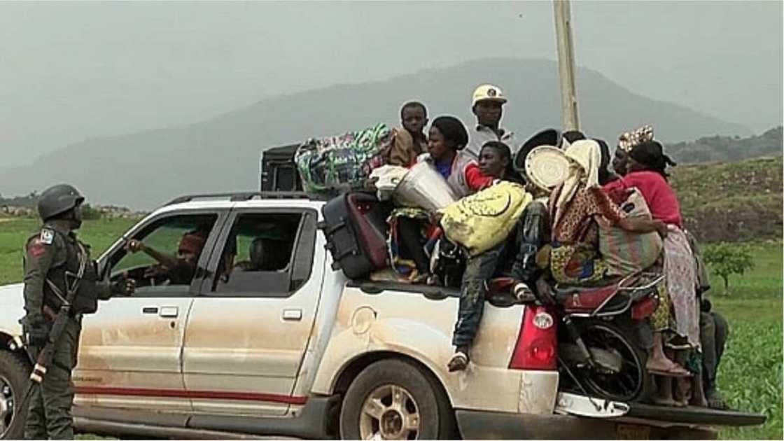 Tsugunno bai kare ba, barayin shanu sun yi kisa sannan su kayi awon gaba da shanu a Filato Tsugunno bai kare ba, barayin shanu sun yi kisa sannan su kayi awon gaba da shanu a Filato