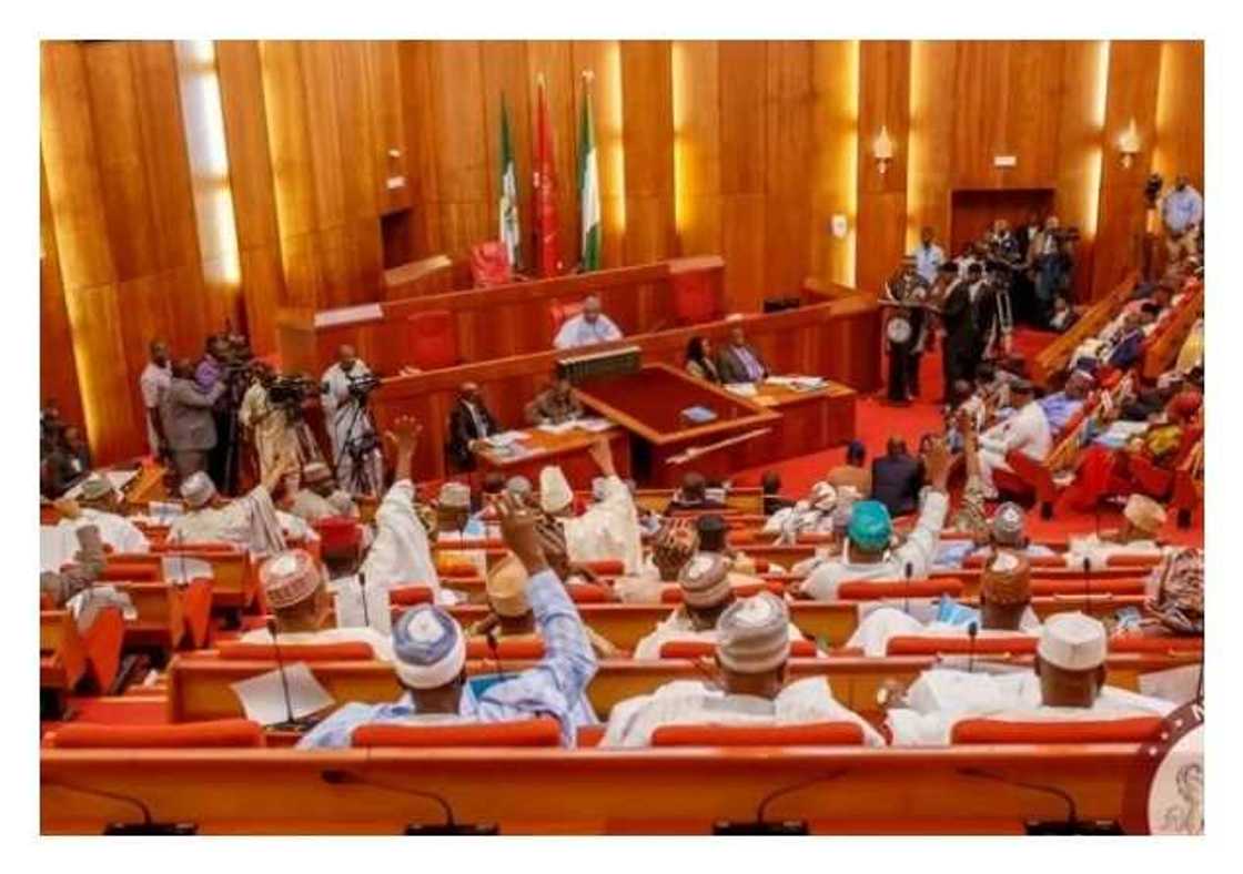 Kashi 70% na kodin din dake Najeriya a dajin Sambisa ake shanye shi - Sanatan Najeriya Kashi 70% na kodin din dake Najeriya a dajin Sambisa ake shanye shi - Sanatan Najeriya