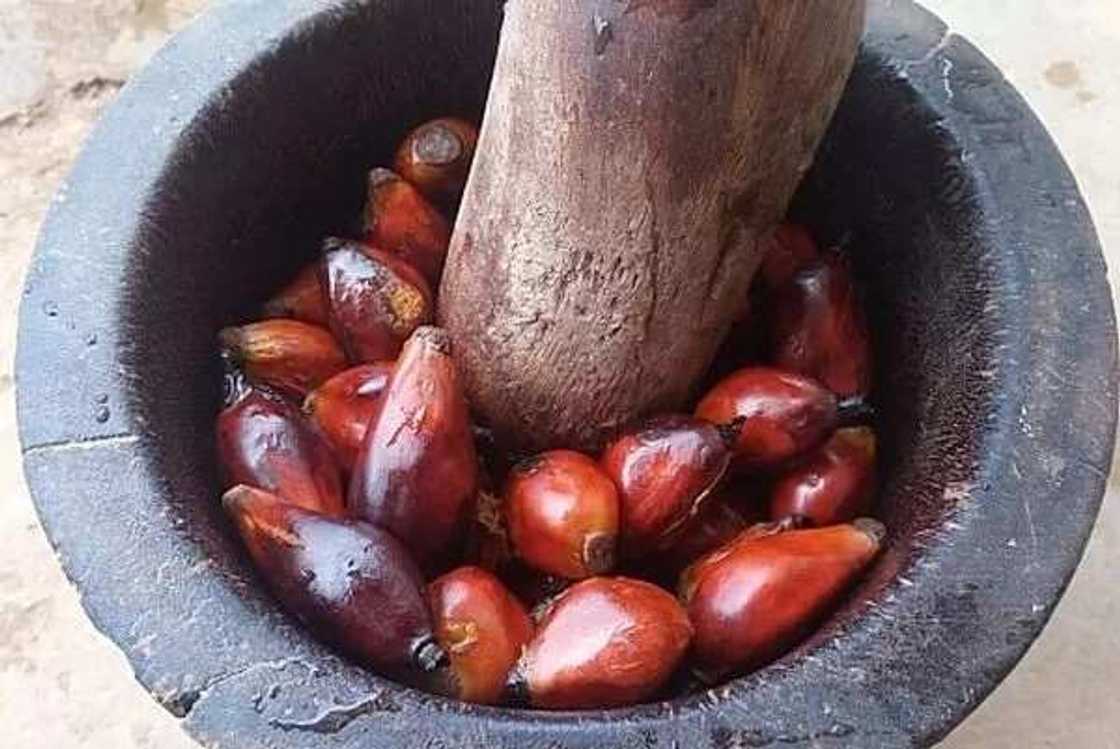 Make palm fruit juice for atama soup with waterleaf Make palm fruit juice for atama soup with waterleaf