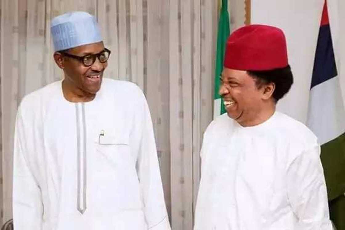 Shehu Sani mocks Buhari government Shehu Sani mocks Buhari government
