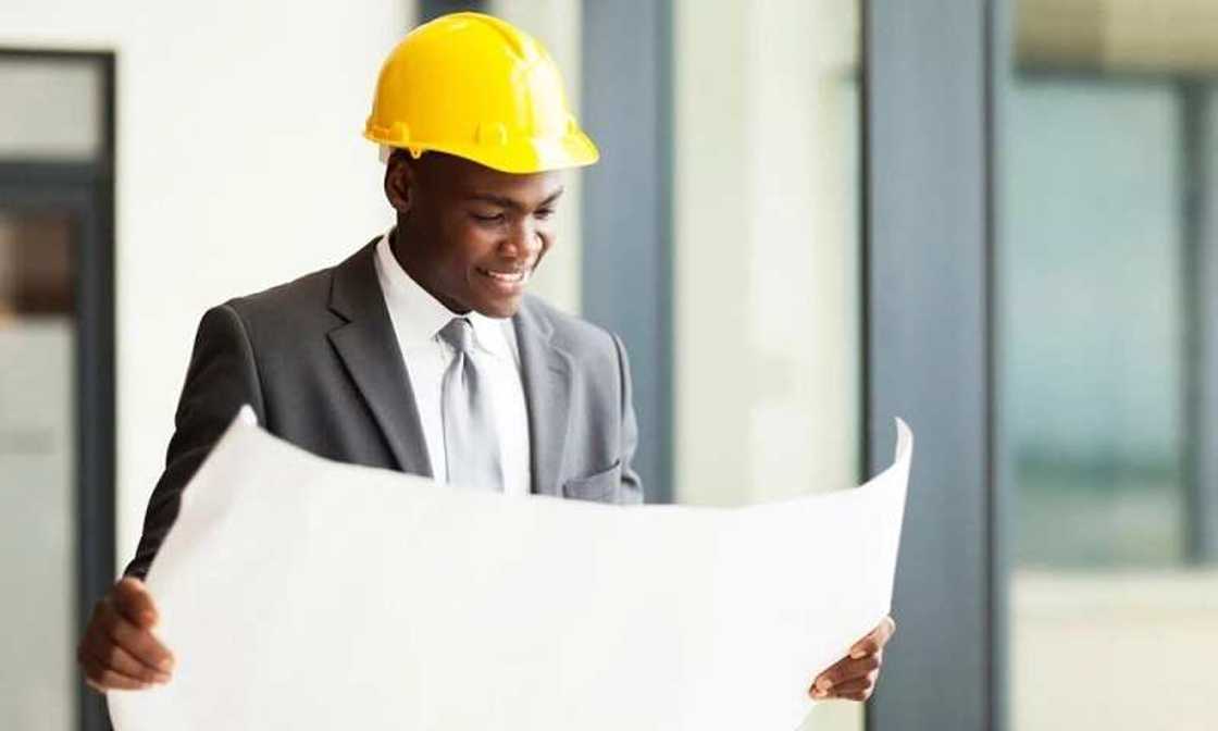 engineer with paper engineer with paper