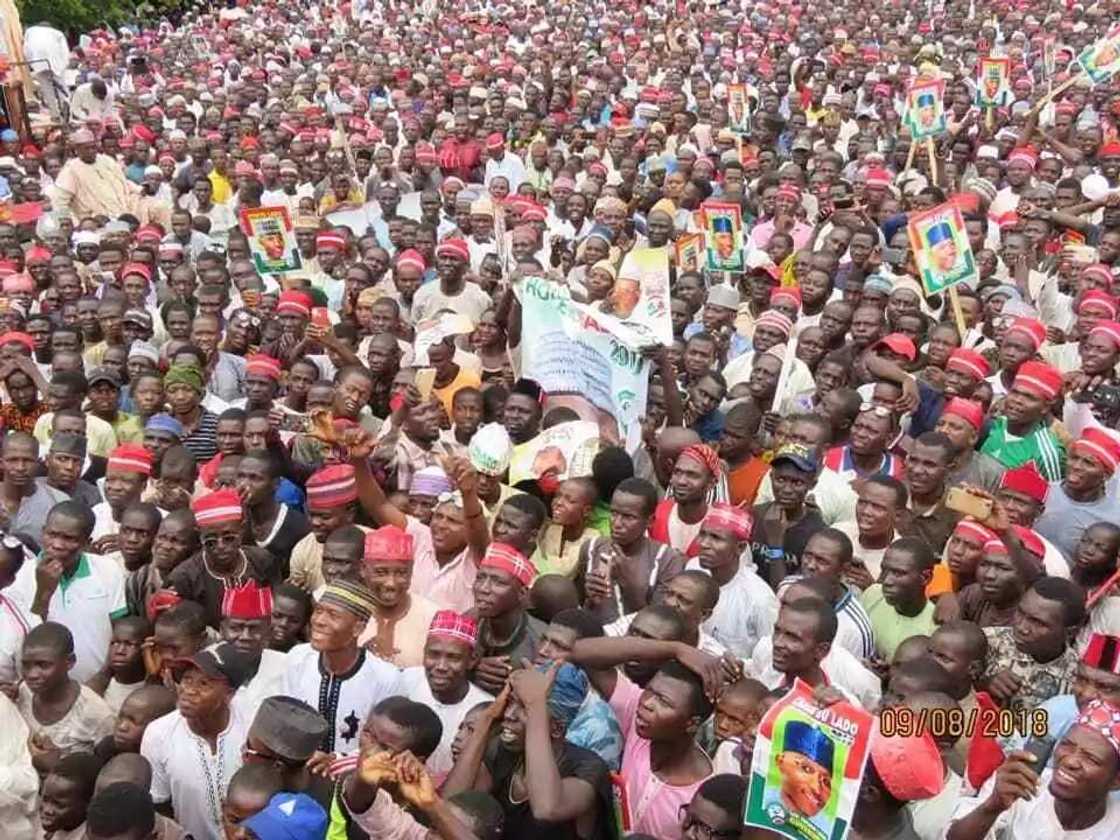 Zaben 2019: Daga Daura sai Madobi Inji Sanata Rabiu Kwankwaso Zaben 2019: Daga Daura sai Madobi Inji Sanata Rabiu Kwankwaso