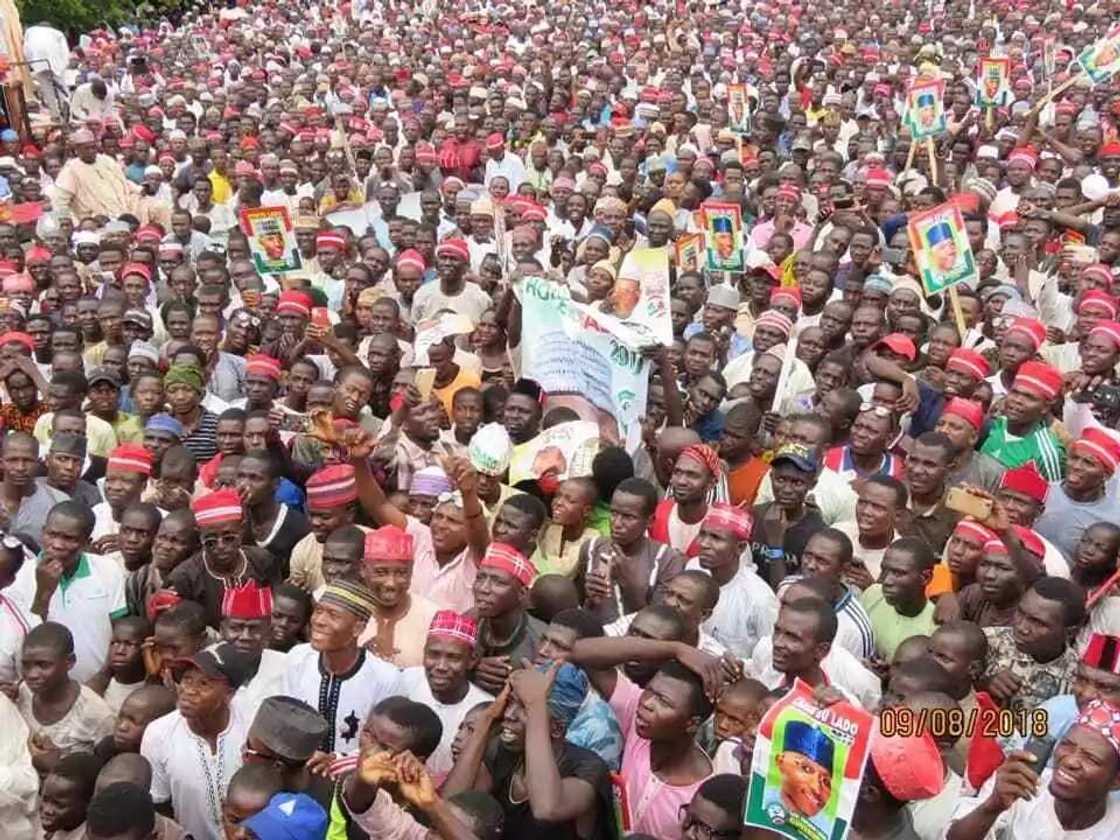 Zaben 2019: Daga Daura sai Madobi Inji Sanata Rabiu Kwankwaso