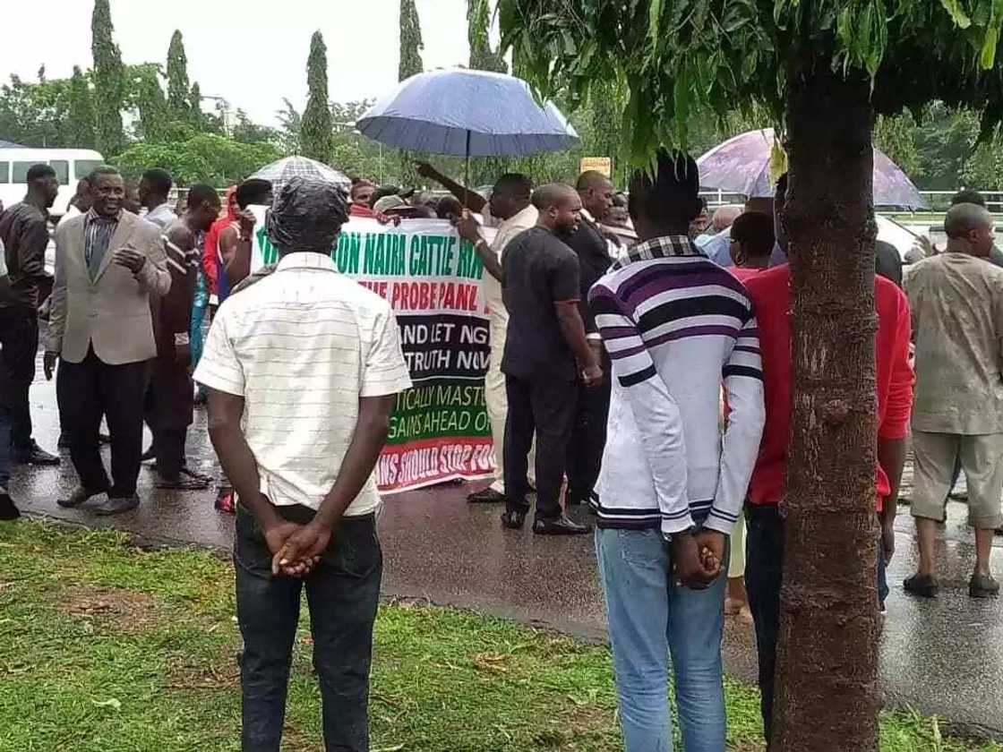 Group protest in National Assembly over alleged misappropriation of ranching fund (photos) Group protest in National Assembly over alleged misappropriation of ranching fund (photos)