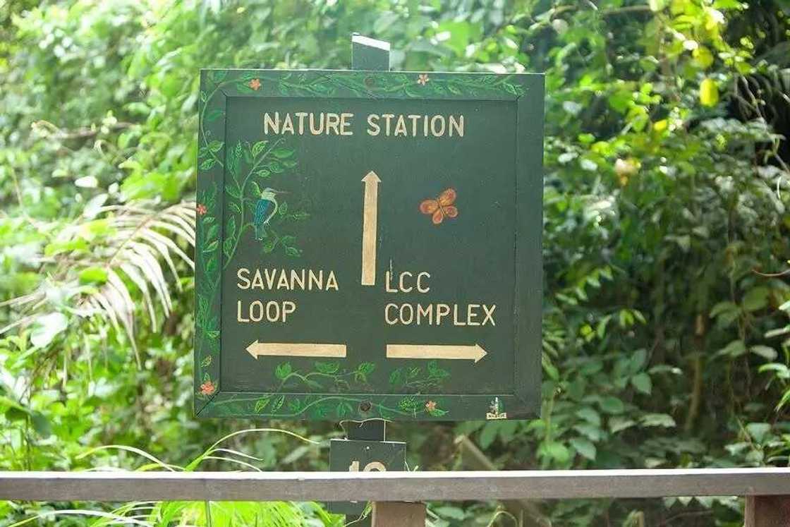 Best Place to Get Away From City Life This Weekend Best Place to Get Away From City Life This Weekend