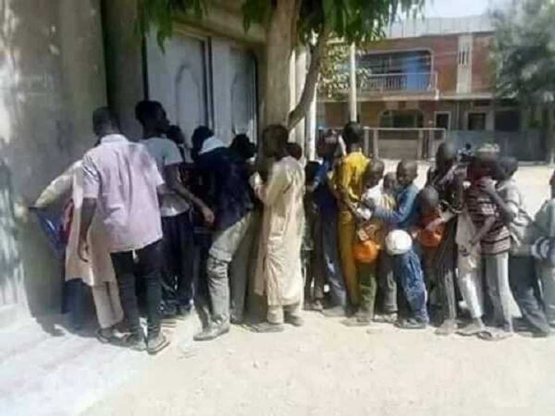 Dubi hotunan kananan yara da aka gani na kada kuri'a a zaben Kano na jiya