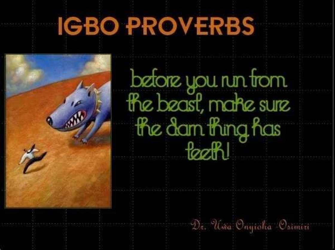 Igbo proverbs always have deeper meaning Igbo proverbs always have deeper meaning