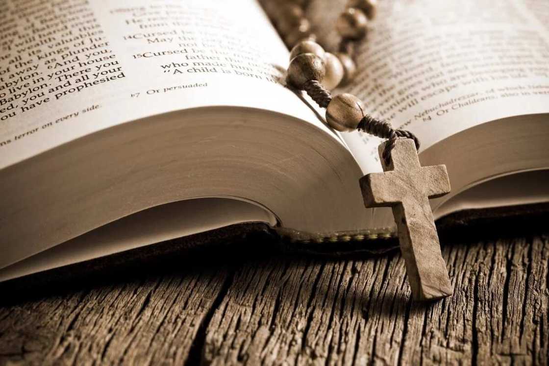 Holy Bible Holy Bible