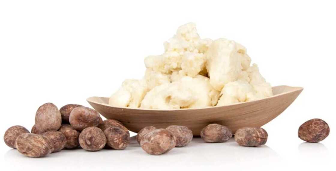 Benefits of shea butter for skin Benefits of shea butter for skin