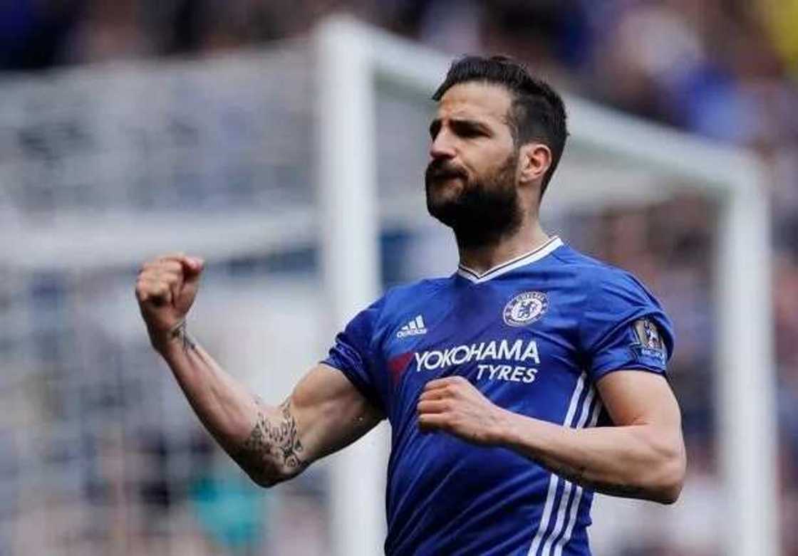 Cesc Fabregas Cesc Fabregas