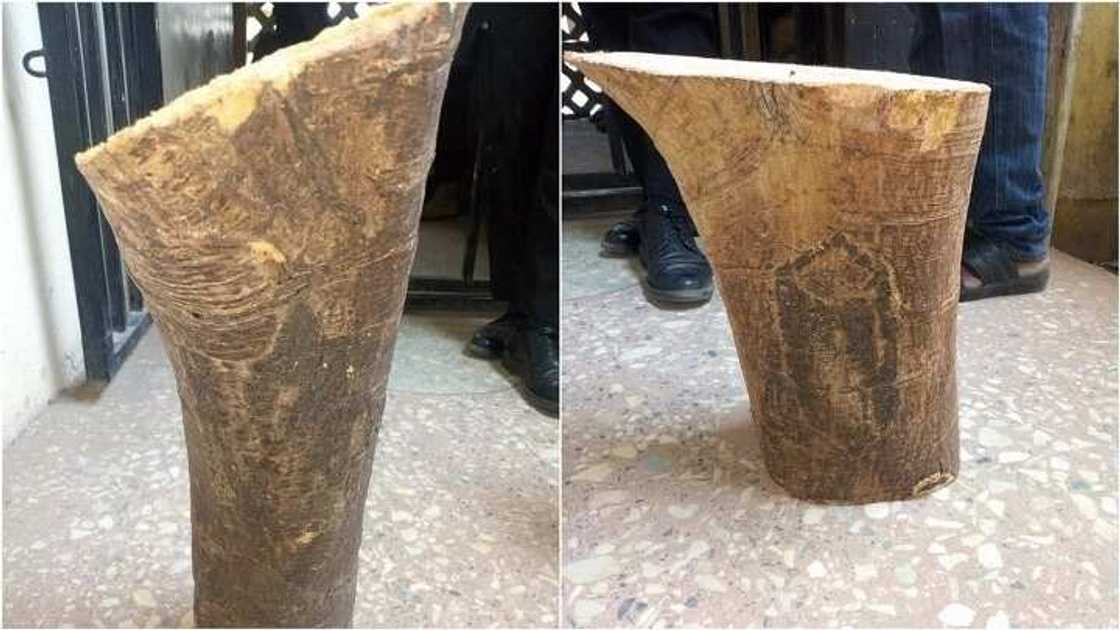 An cuci bakauye: Yan damfara sun samar da wata bishiya da ake bautamawa a Kano (Hotuna) An cuci bakauye: Yan damfara sun samar da wata bishiya da ake bautamawa a Kano (Hotuna)