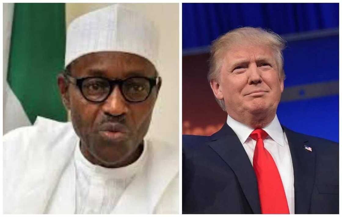 FG says Nigerians free to travel to U.S., not on ban list FG says Nigerians free to travel to U.S., not on ban list