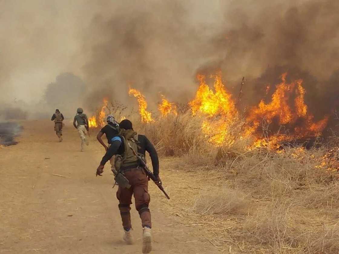 Yanzu-Yanzu: An kashe 'yan kunan bakin wake 3 a Maiduguri - NEMA