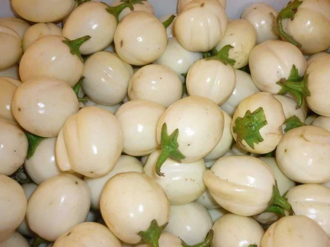 Lafiya jari: Muhimman anfani 5 da yalo keyi a jikin dan adam Lafiya jari: Muhimman anfani 5 da yalo keyi a jikin dan adam