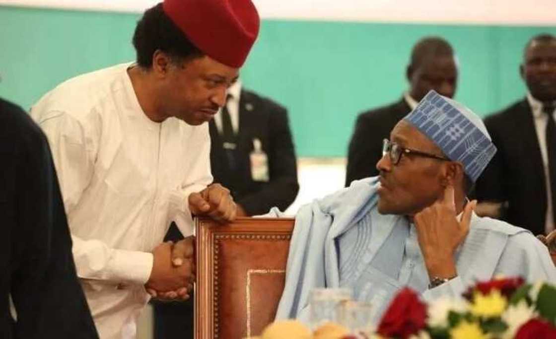 Ka janye magananka sannan ka ba matasan Najeriya hakuri – Shehu Sani ya shawarci Buhari Ka janye magananka sannan ka ba matasan Najeriya hakuri – Shehu Sani ya shawarci Buhari