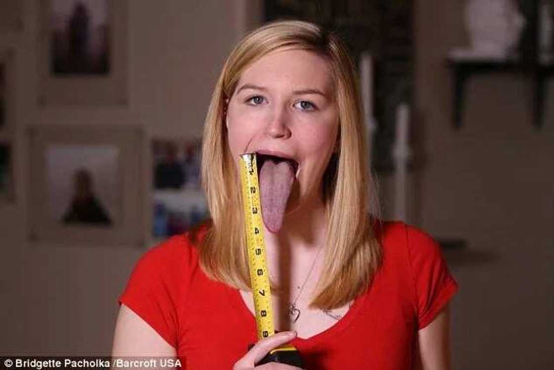 Most Wonderful Guinness World Records Ever Broken Most Wonderful Guinness World Records Ever Broken