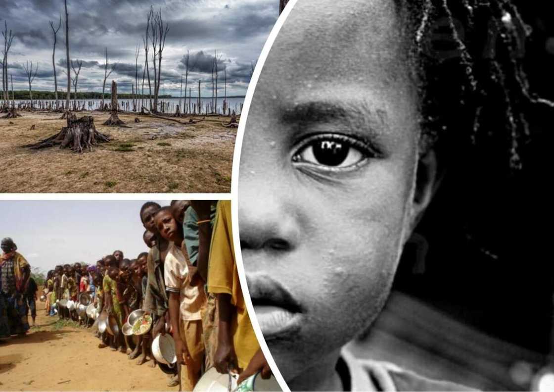 Overpopulation in Nigeria Overpopulation in Nigeria