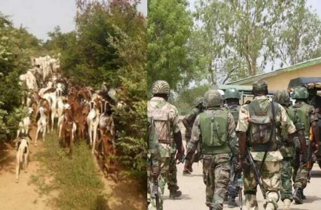 Mutuwar Buharin Daji : Har yanzu kashe kashe bai tsaya ba a jihar Zamafara Mutuwar Buharin Daji : Har yanzu kashe kashe bai tsaya ba a jihar Zamafara