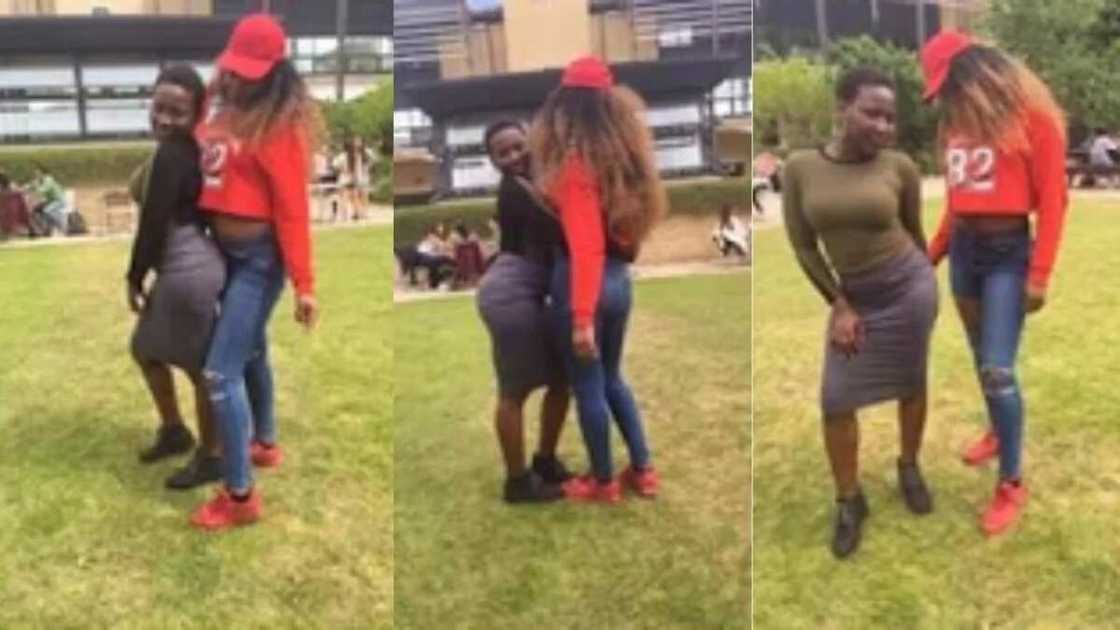 WAWU! Nigerian girl goes on her knees to propose to her girlfriend (photos)