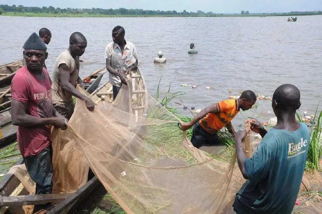 Masu sana’ar kifi na gamuwa da kalubale ta ko ina a Yankin Borno