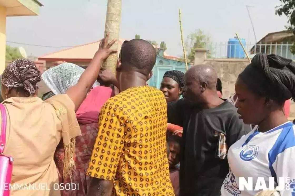 Sunan Allah ya bayyana a jikin bishiyar zogale Sunan Allah ya bayyana a jikin bishiyar zogale