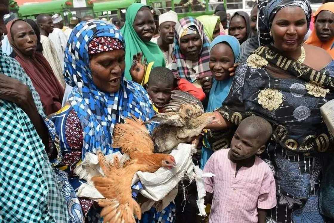 Jubilation as over 2000 IDPs return home in Guzamala LG in Borno state (photos) Jubilation as over 2000 IDPs return home in Guzamala LG in Borno state (photos)