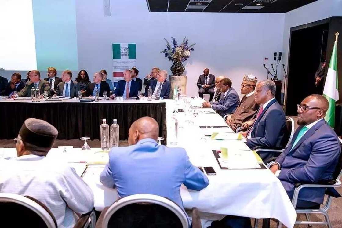 Dutch company plans to build cattle ranches in Nigeria, another to invest 11m Euros Dutch company plans to build cattle ranches in Nigeria, another to invest 11m Euros