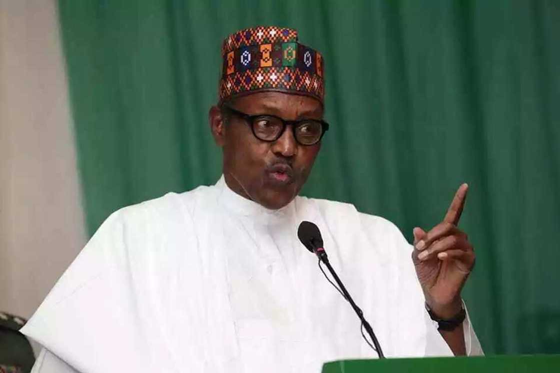 Shugaban kasa Buhari: Noma shi ne mafita ga matasa masu jini a jika Shugaban kasa Buhari: Noma shi ne mafita ga matasa masu jini a jika