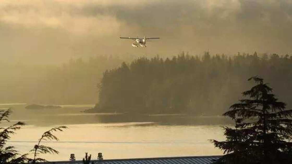 Plane Crash: Pilot And Eight Passengers Kiiled Plane Crash: Pilot And Eight Passengers Kiiled