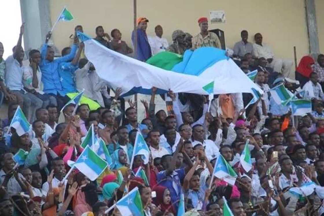 Somali Somali