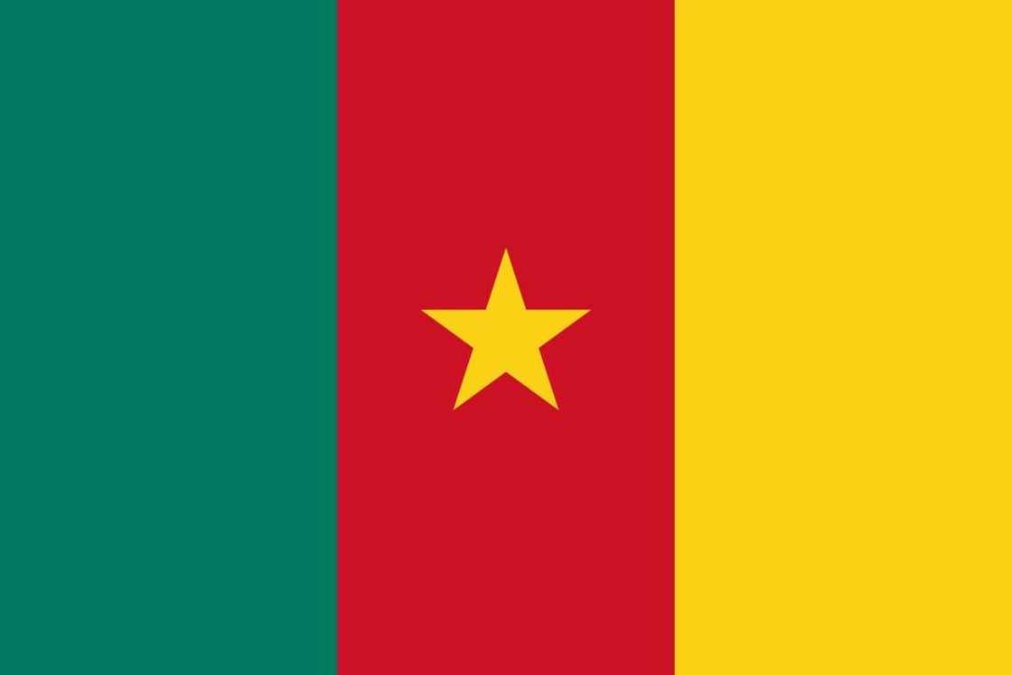 Flag of Cameroon Flag of Cameroon