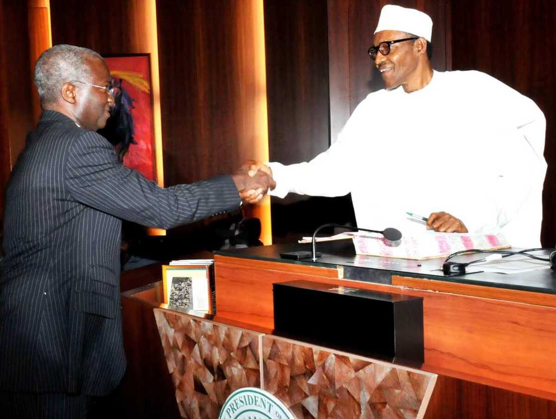 Fashola Will Succeed But At A Very High Cost Fashola Will Succeed But At A Very High Cost