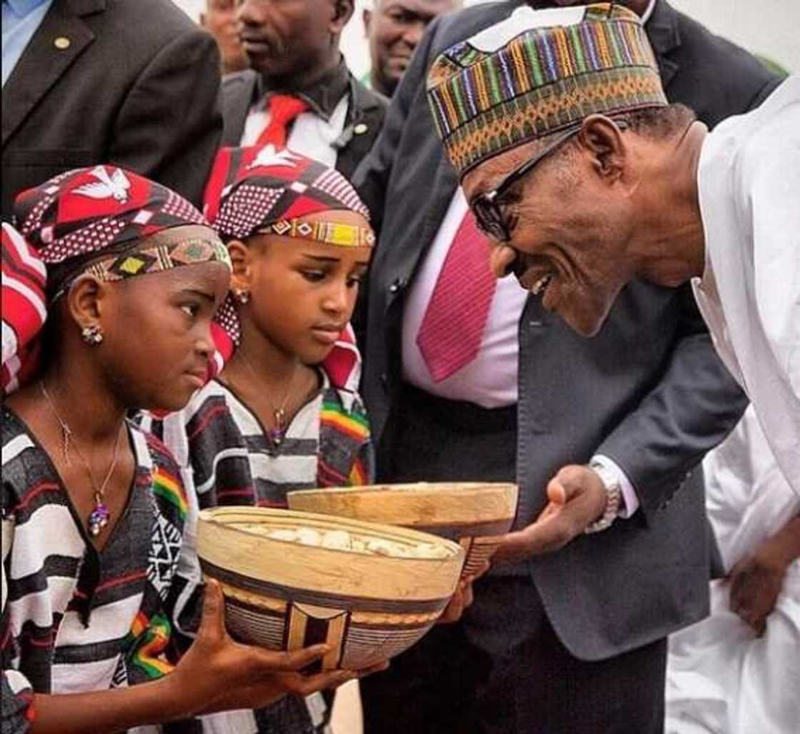 PHOTOS: President Buhari's Trip To Niger Republic PHOTOS: President Buhari's Trip To Niger Republic