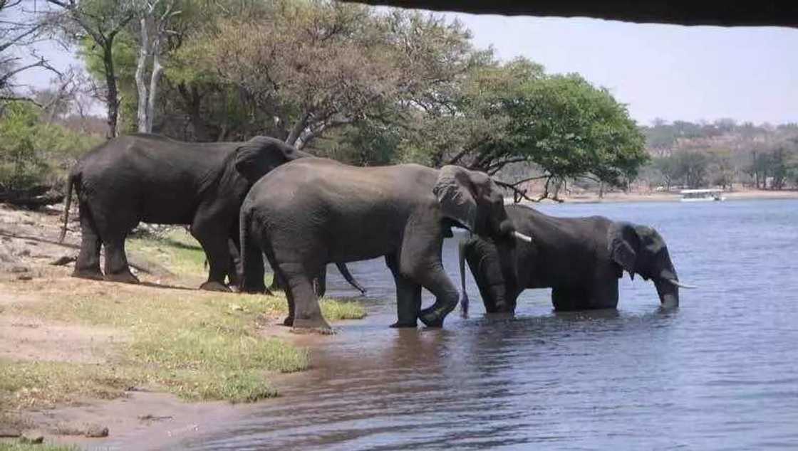 Old Oyo National Park