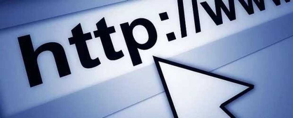 world wide web world wide web