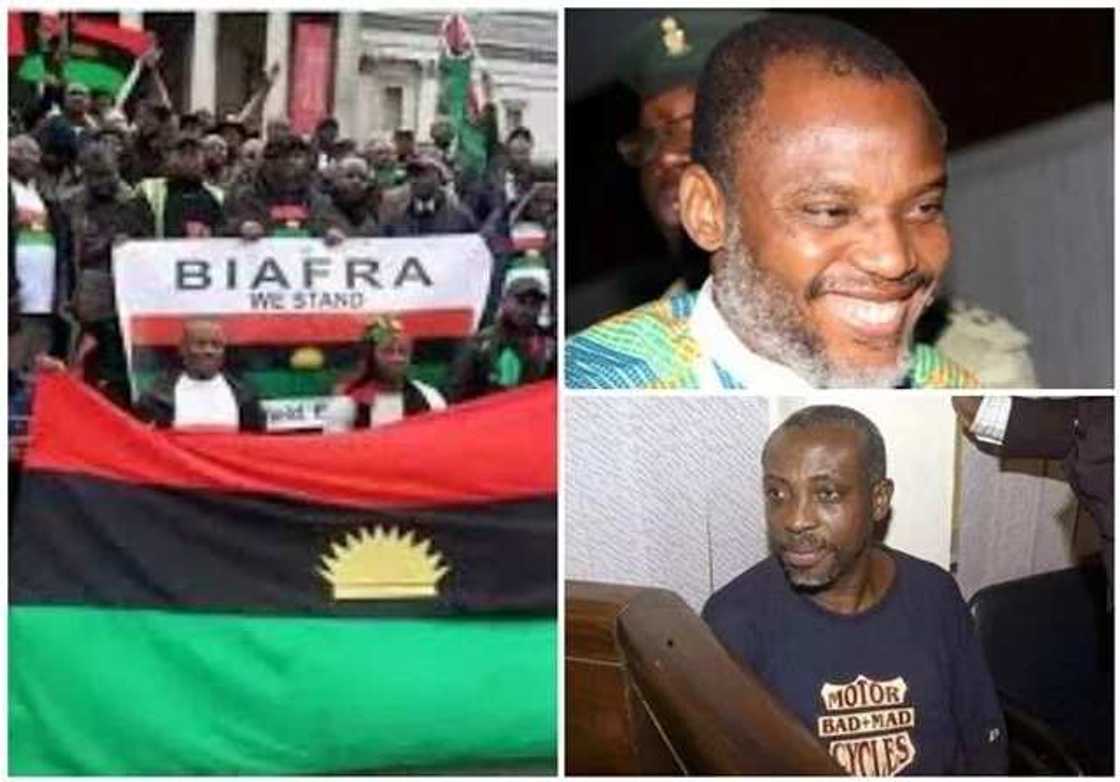 IPOB fires back at Uwazurike