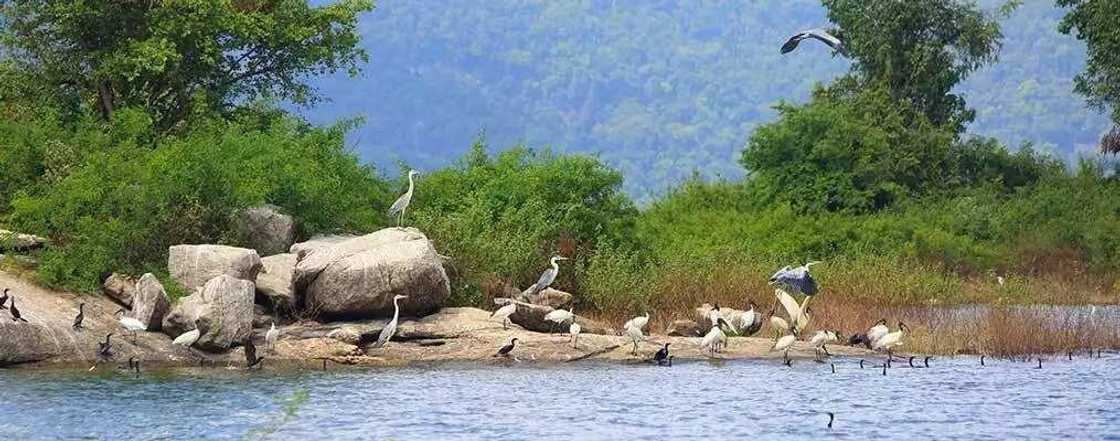 Gal Oya National Park