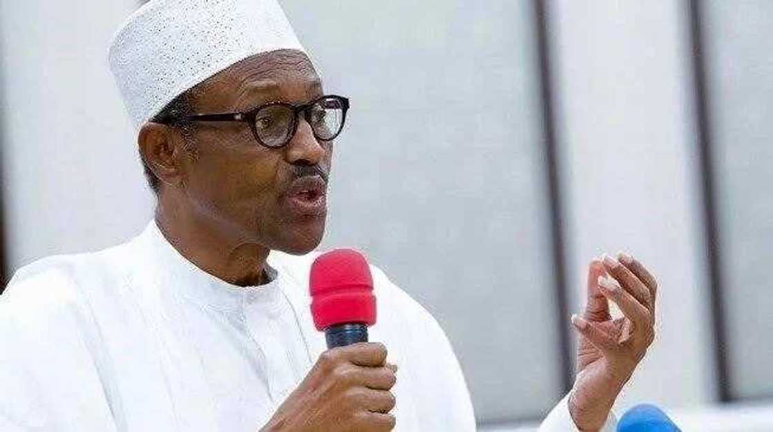 Nejeriya ta samu gagarumin ci gaba a fannin noma - Inji shugaba Buhari