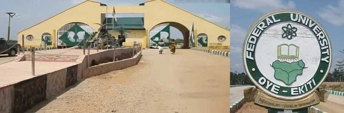 FUOYE school fees 2018/2019 FUOYE school fees 2018/2019