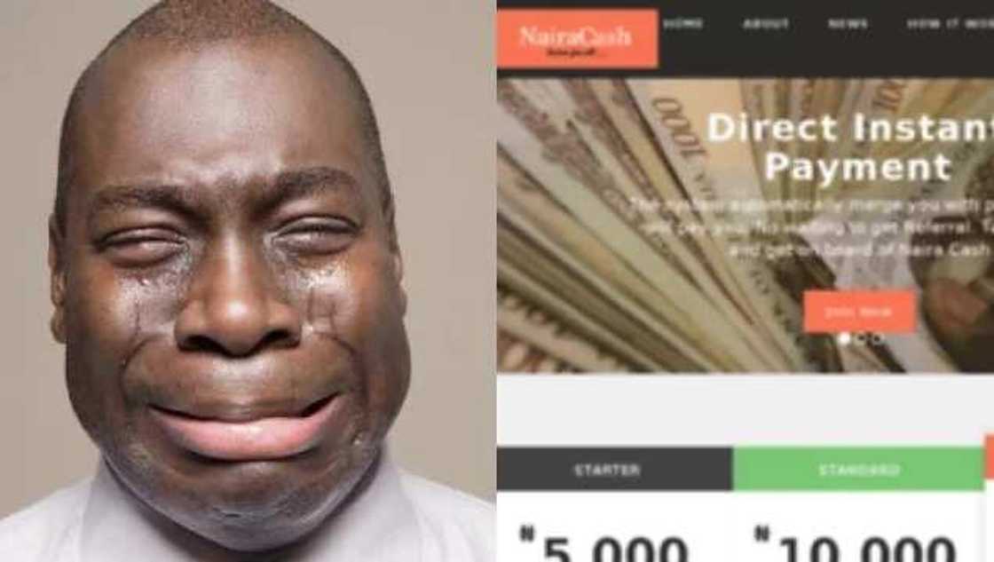 Another ponzi scheme NairaCash reportedly crashes Another ponzi scheme NairaCash reportedly crashes