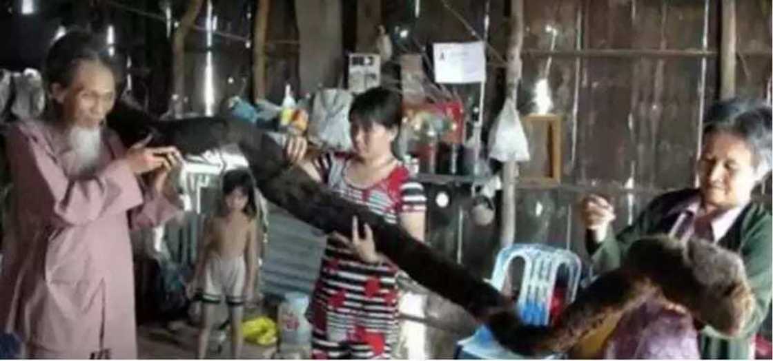 Namijin da yafi tarin gashi a Duniya, shekaru 11 ba wanki Namijin da yafi tarin gashi a Duniya, shekaru 11 ba wanki