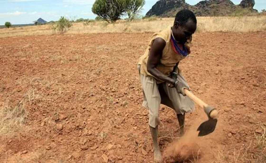 Food insecurity Food insecurity