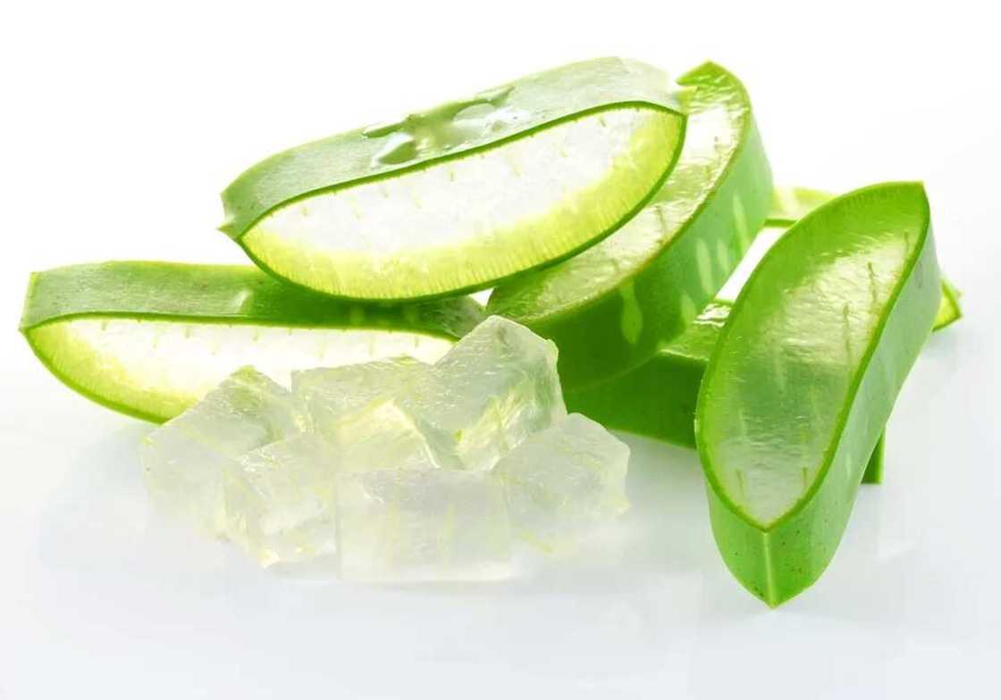 aloe vera aloe vera