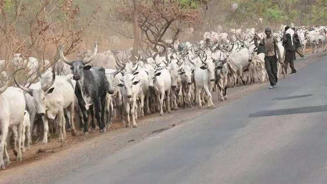 Fulani makiyaya sun kai hari gidan yarin jihar Binuwe, an kashe mutum guda