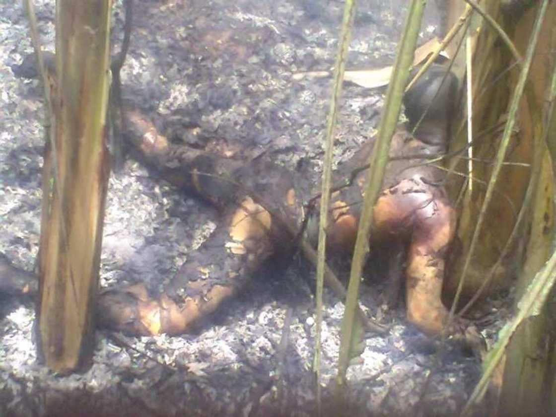 Graphic Photos: Anambra Gas Plant Explosion Kills Over 100 Graphic Photos: Anambra Gas Plant Explosion Kills Over 100