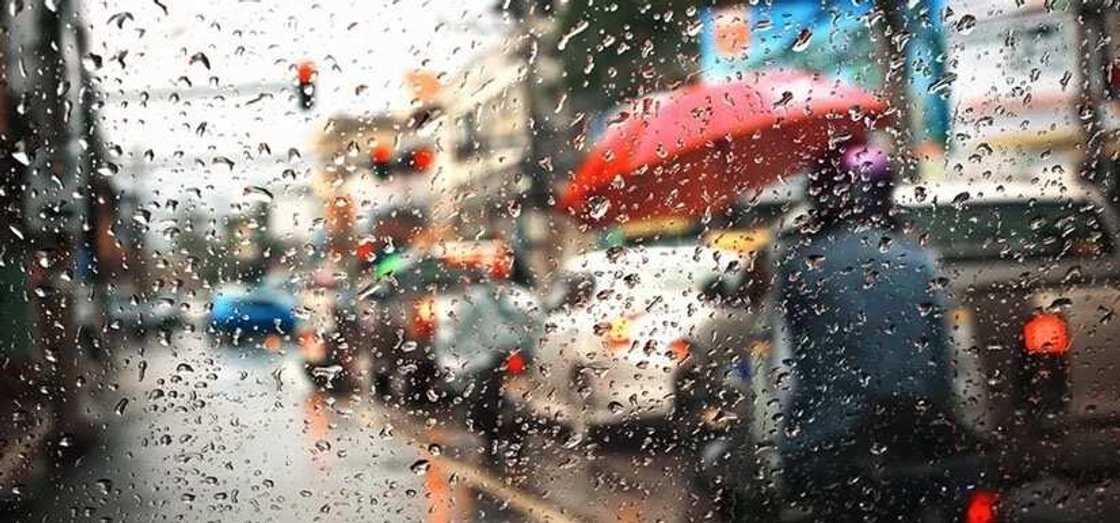 Rainy season Rainy season