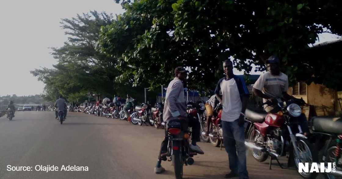LIVE UPDATES: FCT area council polls LIVE UPDATES: FCT area council polls