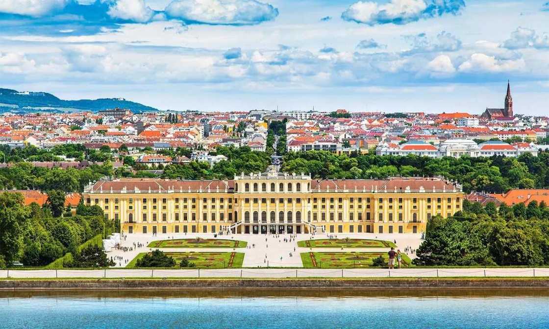 city Vienna city Vienna